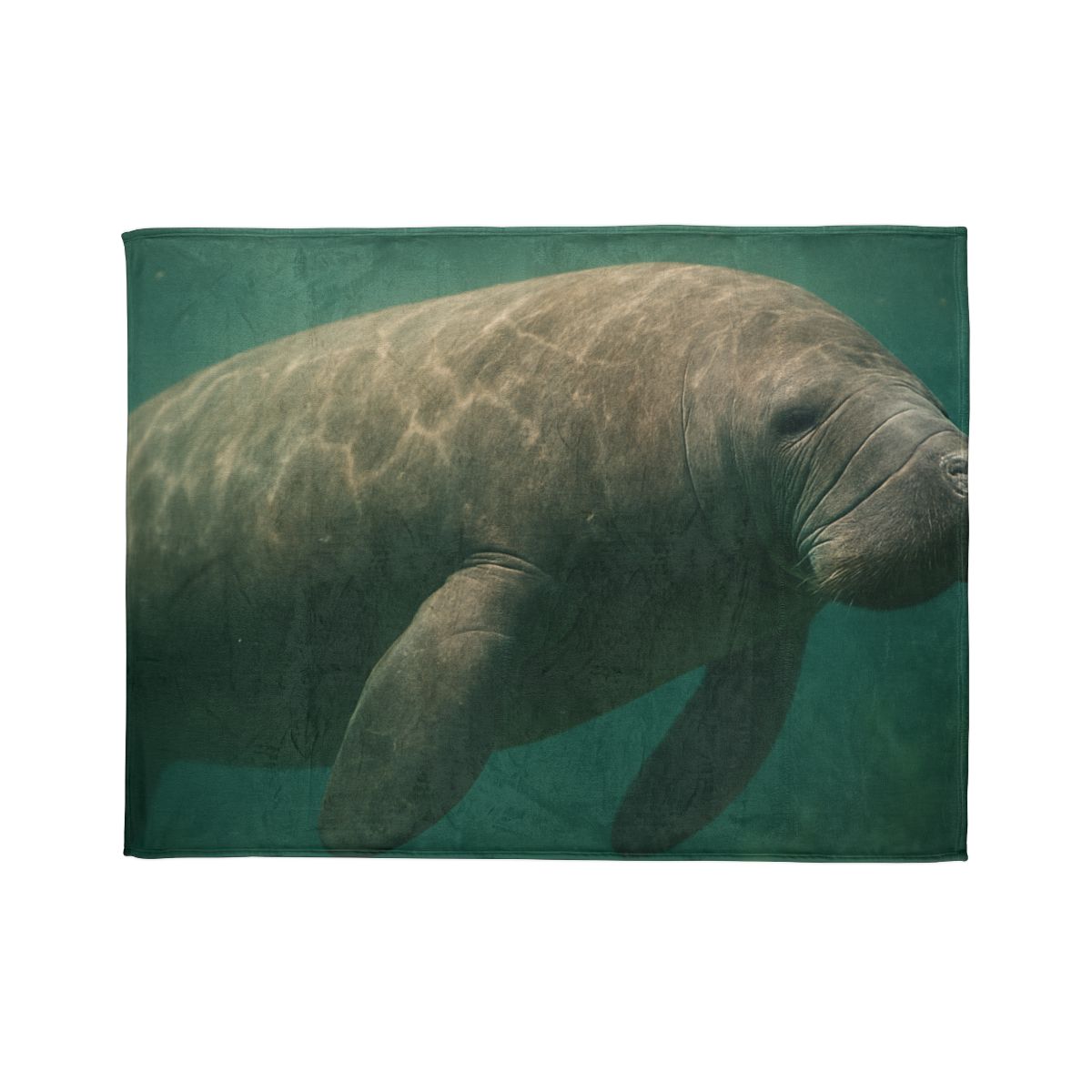 Quiet Drift West Indian Manatee personalized cozy blankets