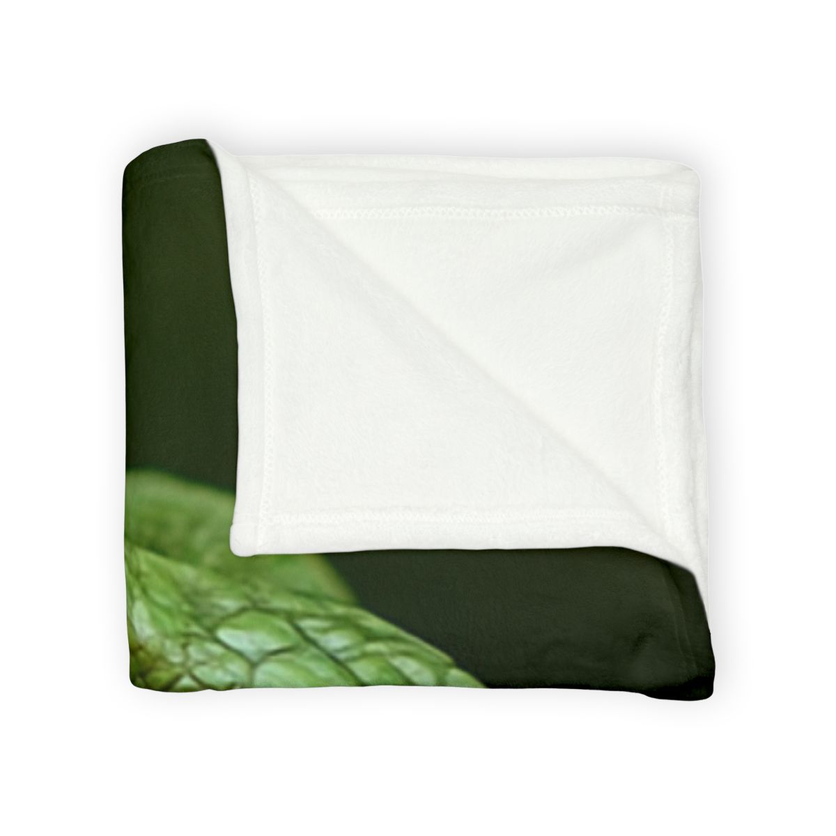 Green Iguana Sun Stillness designer printed blankets