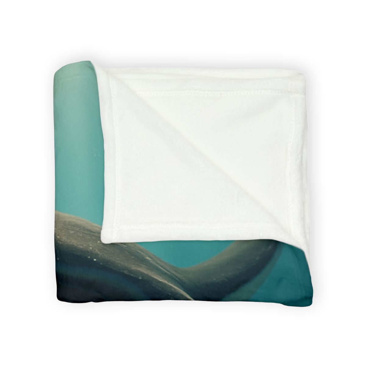 Starlit Drift Giant Manta Ray unique gift blankets