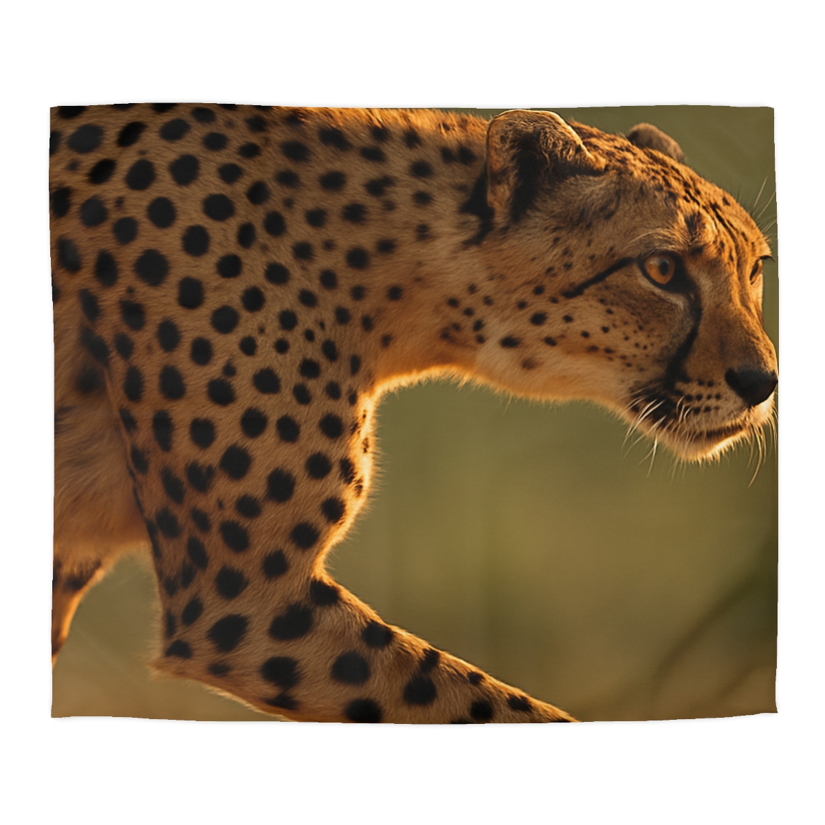 Cheetah Silent Sprint unique patterned duvets