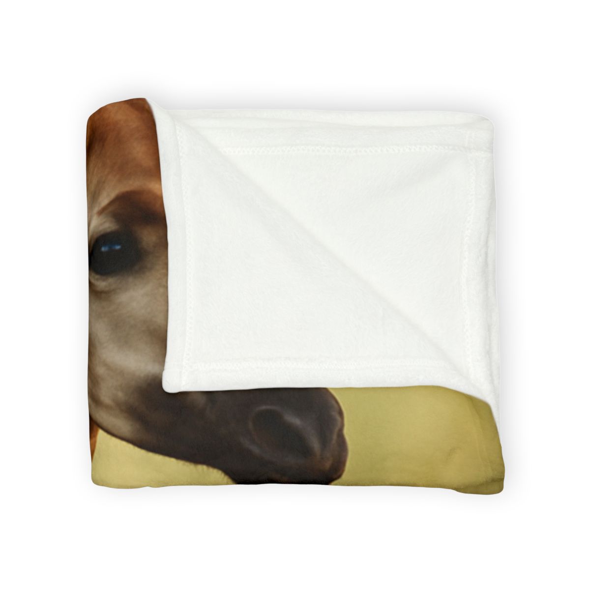 Velvet Stride Okapi stylish throw blankets