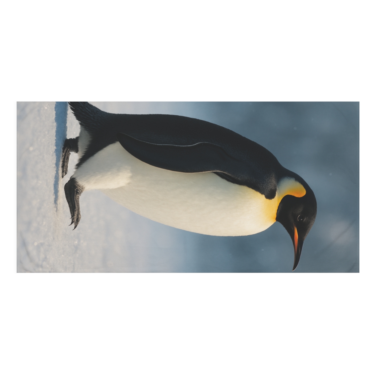 Aurora Drift Emperor Penguin designer printed towels