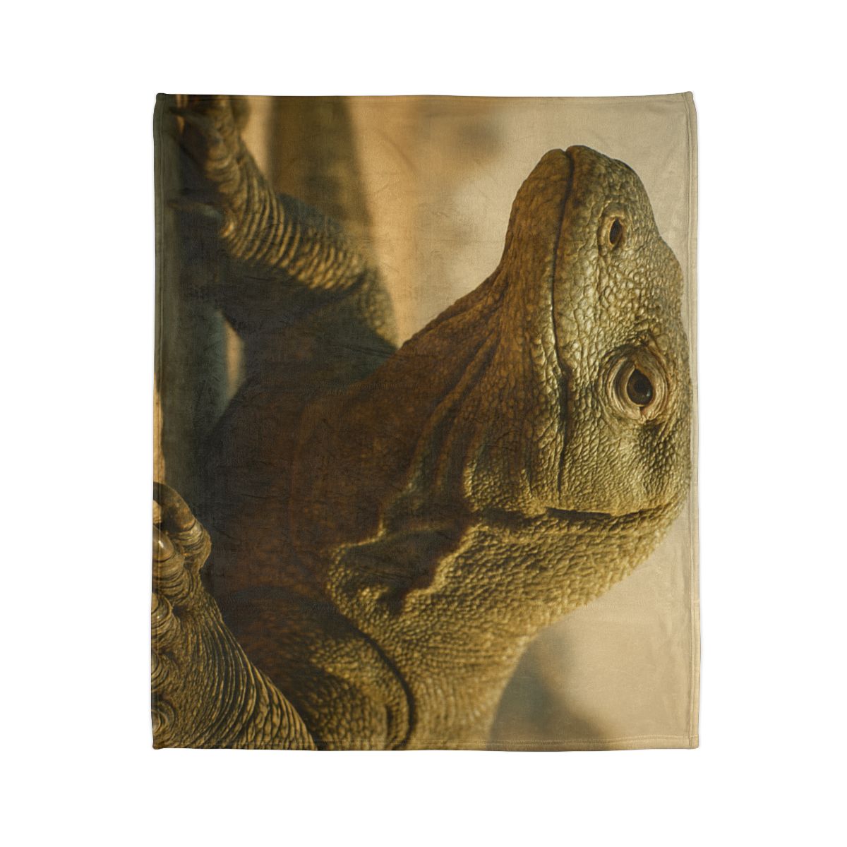 Ancient Sentinel Komodo Dragon decorative home blankets
