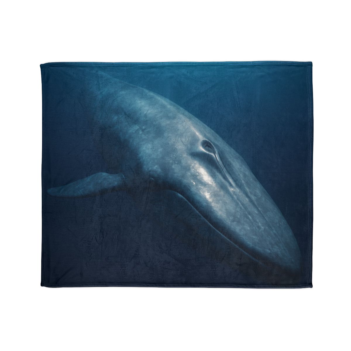 Ocean Song Blue Whale trendy patterned blankets