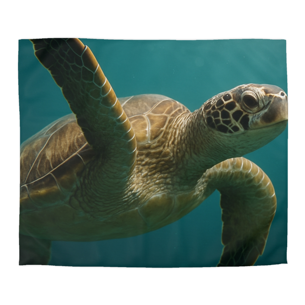 Nebula Glide Green Sea Turtle trendy bedroom duvets