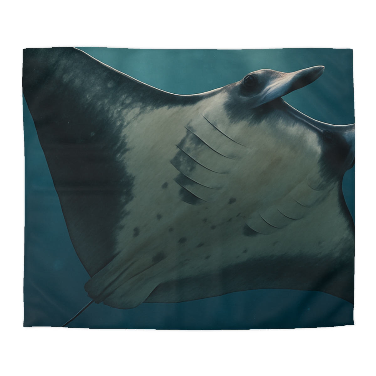 Blue Halo Giant Manta Ray trendy bedroom duvets