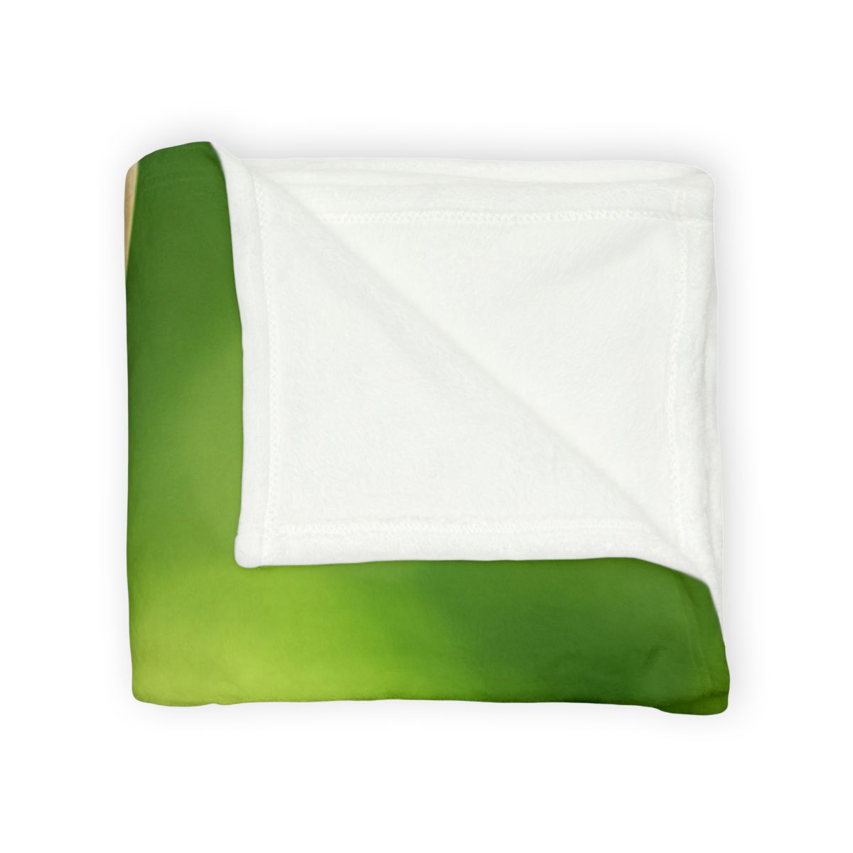 Color Storm Scarlet Macaw trendy patterned blankets