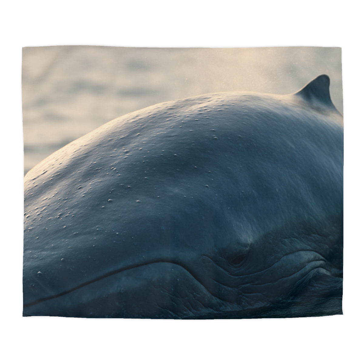Deep Song Blue Whale trendy bedroom duvets