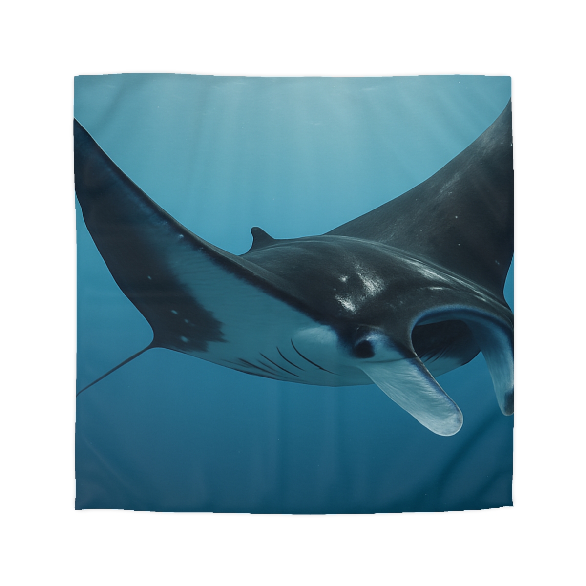 Manta Ray Silent Glide custom duvets