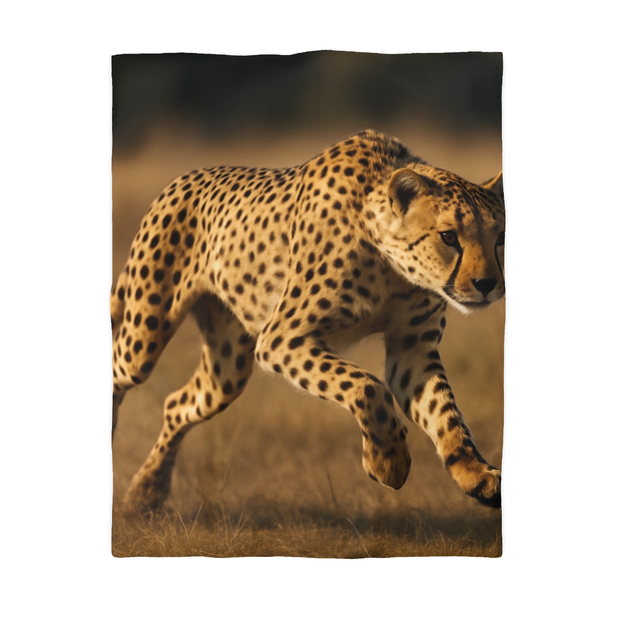 Sun Dash Cheetah trendy bedroom duvets
