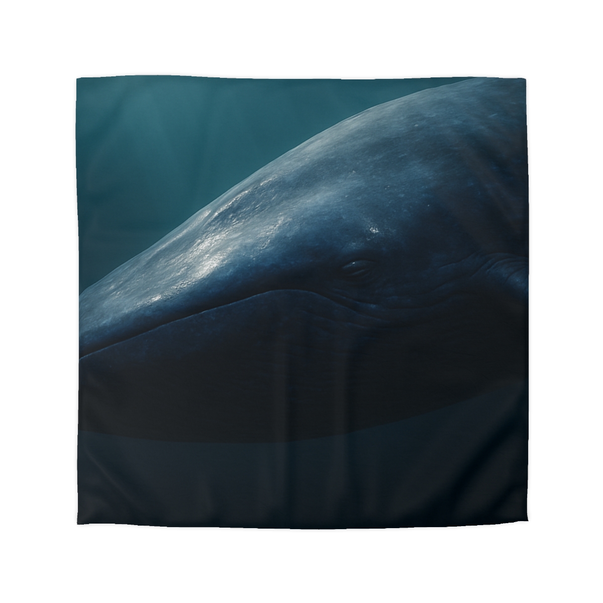Ocean Song Blue Whale soft comforter duvets