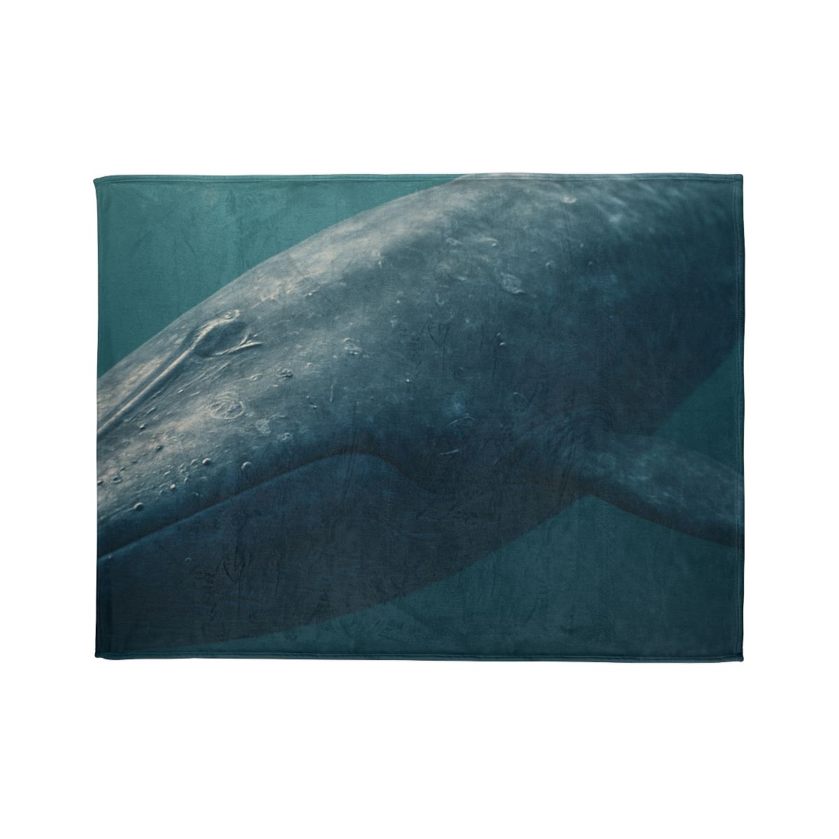 Ocean Song Blue Whale soft fleece blankets