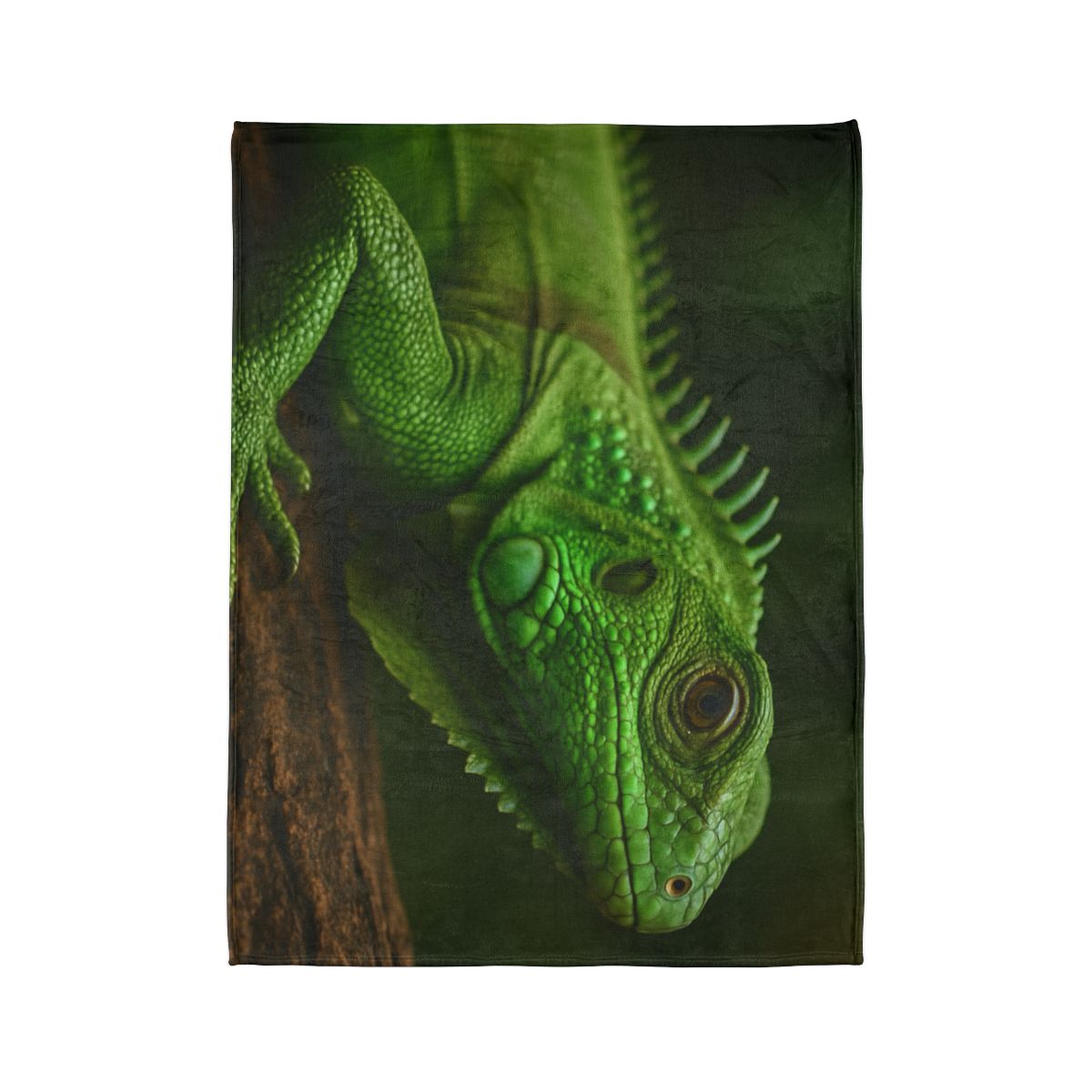 Green Iguana Sun Stillness designer printed blankets