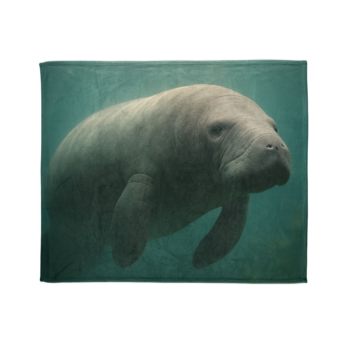 Dawn Drift Manatee soft fleece blankets