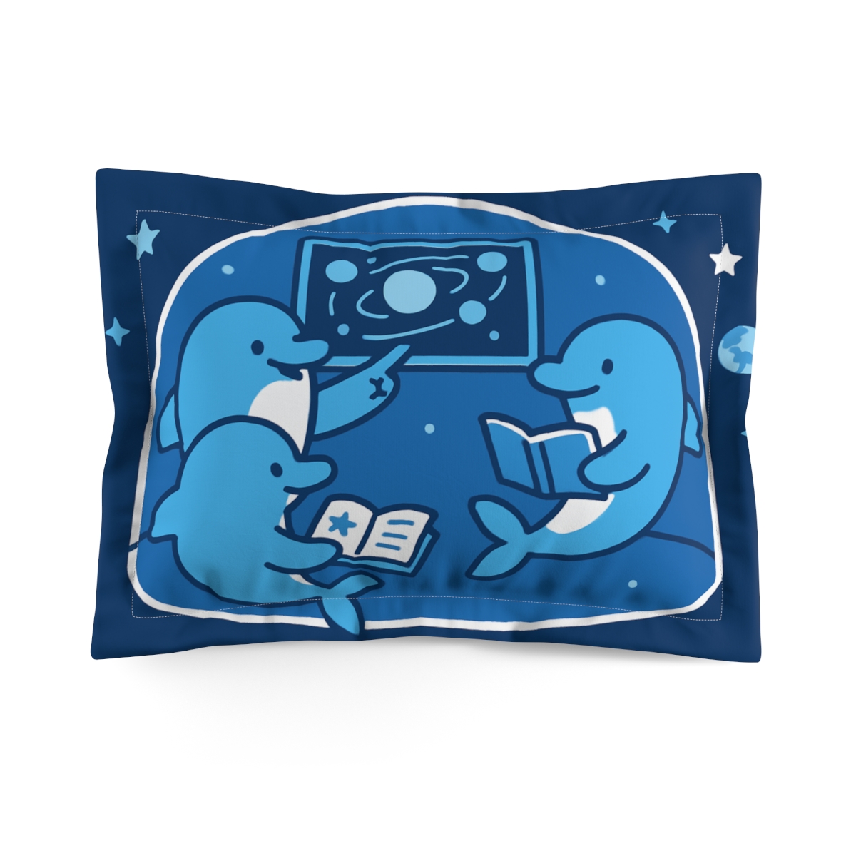 Cosmic Dolphin Classroom gift pillows for home
