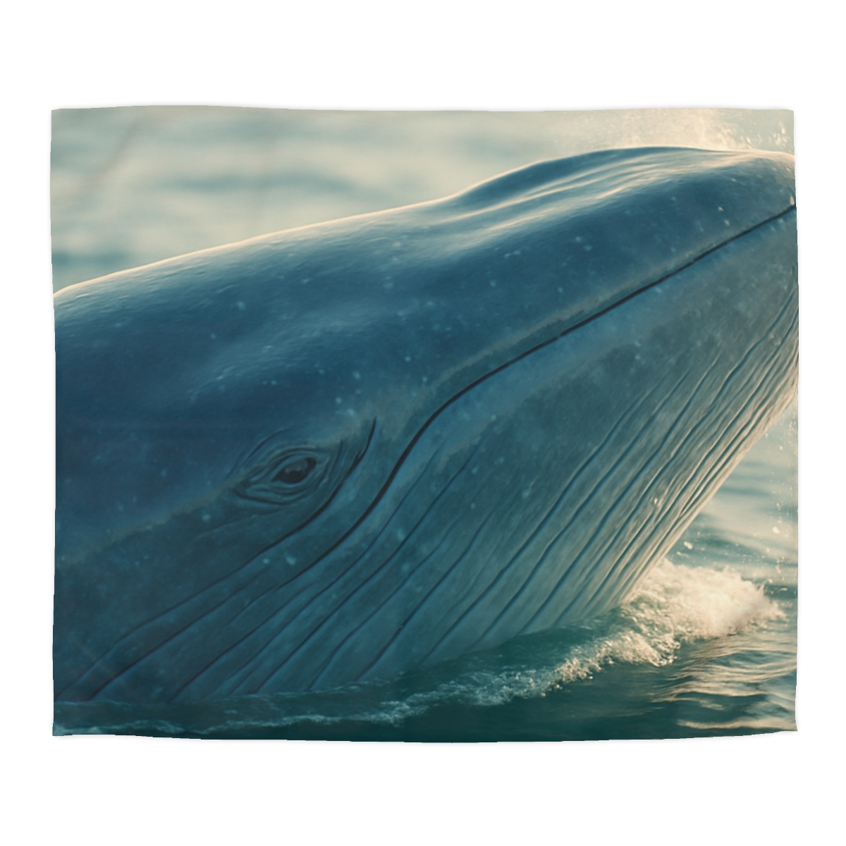 Ocean Song Blue Whale unique patterned duvets