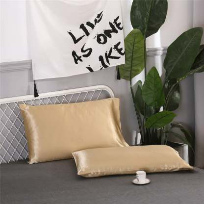 Set Of 2 Satin Silk Pillowcases For Hair And Skin With Envelope Closure