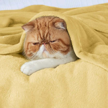 Lightweight Plush Fuzzy Cozy Fleece Bed Blankets