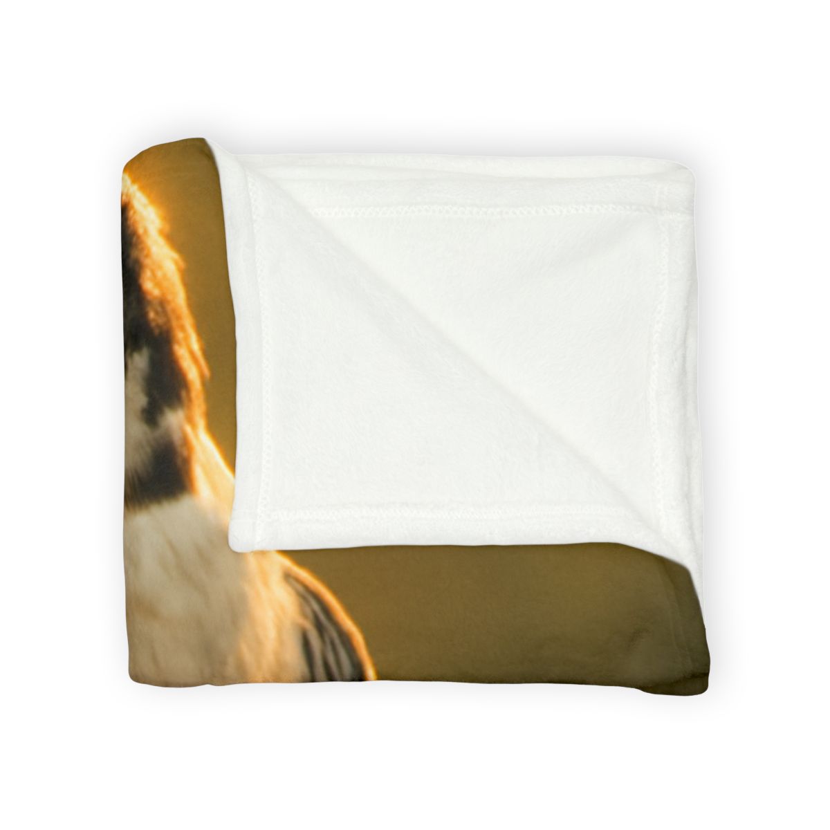 Dawn Arrow Peregrine Falcon personalized cozy blankets