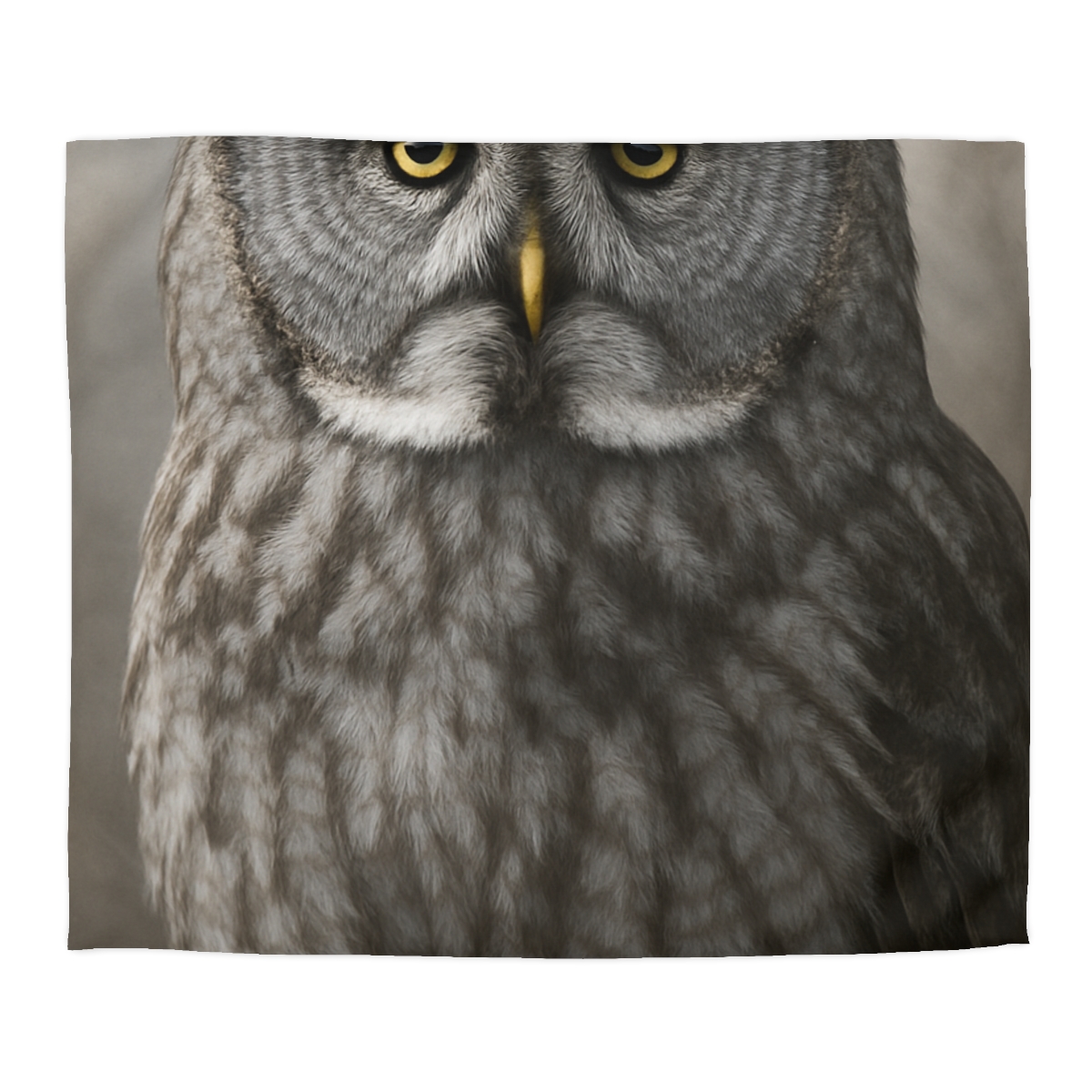 Frost Note Great Gray Owl warm winter duvets
