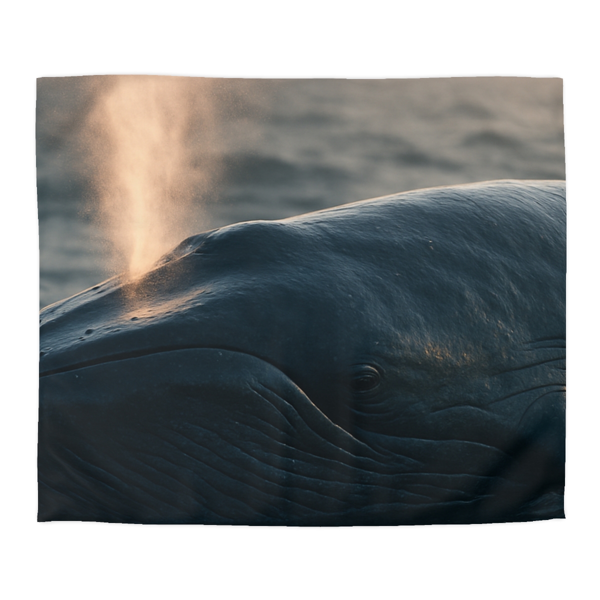 Ocean Song Blue Whale trendy bedroom duvets