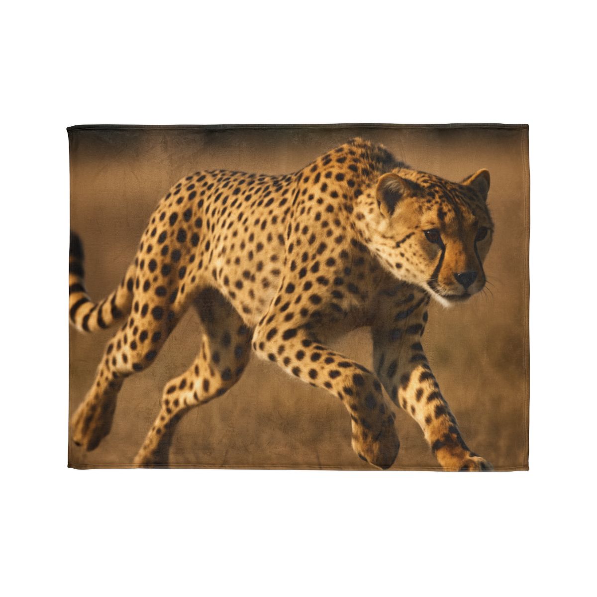 Sun Dash Cheetah trendy patterned blankets