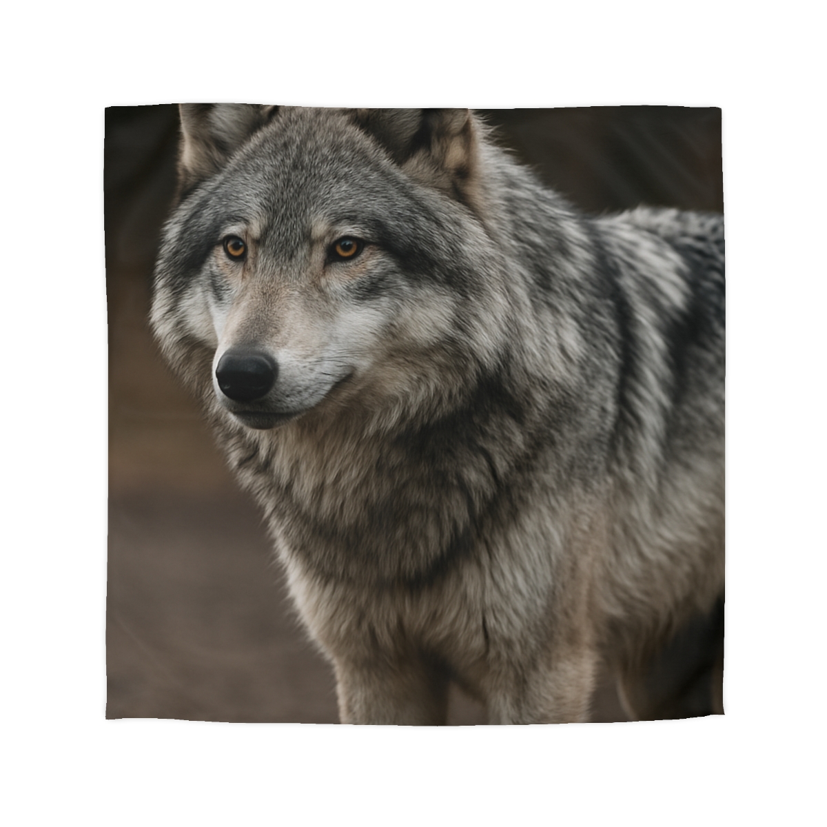 Silver Gaze Gray Wolf duvets for gifts