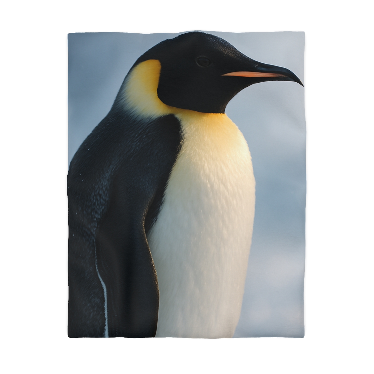 Glacier Gaze Emperor Penguin stylish duvet covers