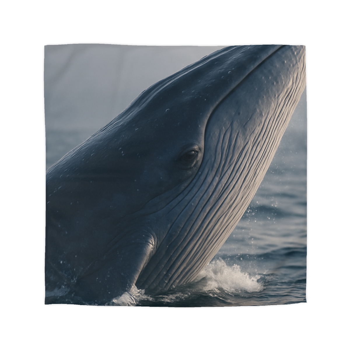Ocean Song Blue Whale warm winter duvets