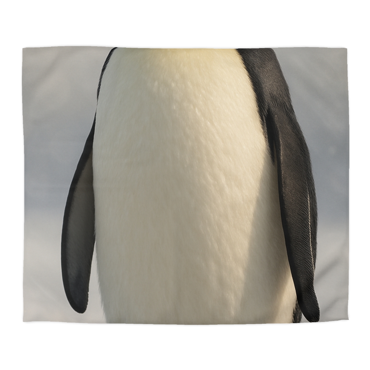 Frost Halo Emperor Penguin soft comforter duvets
