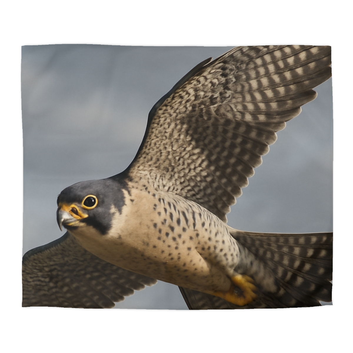 Sky Lance Peregrine Falcon personalized bedding duvets