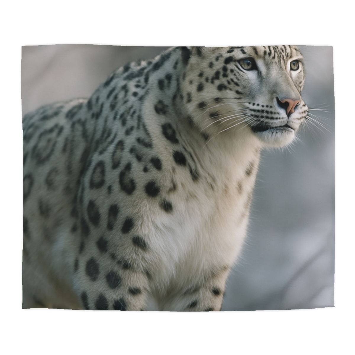 Cliff Phantom Snow Leopard soft comforter duvets