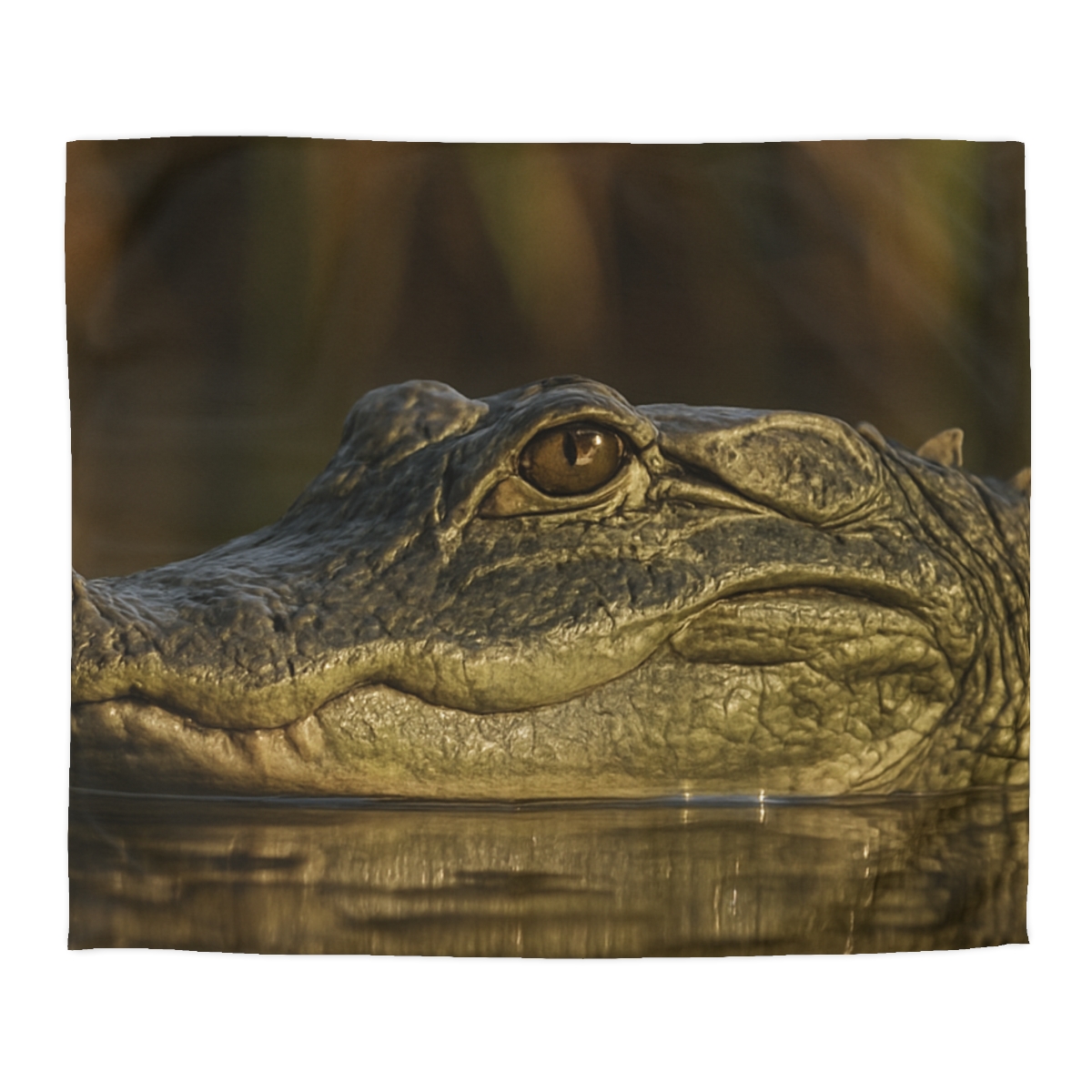 Nebula Stillness American Alligator duvets for gifts