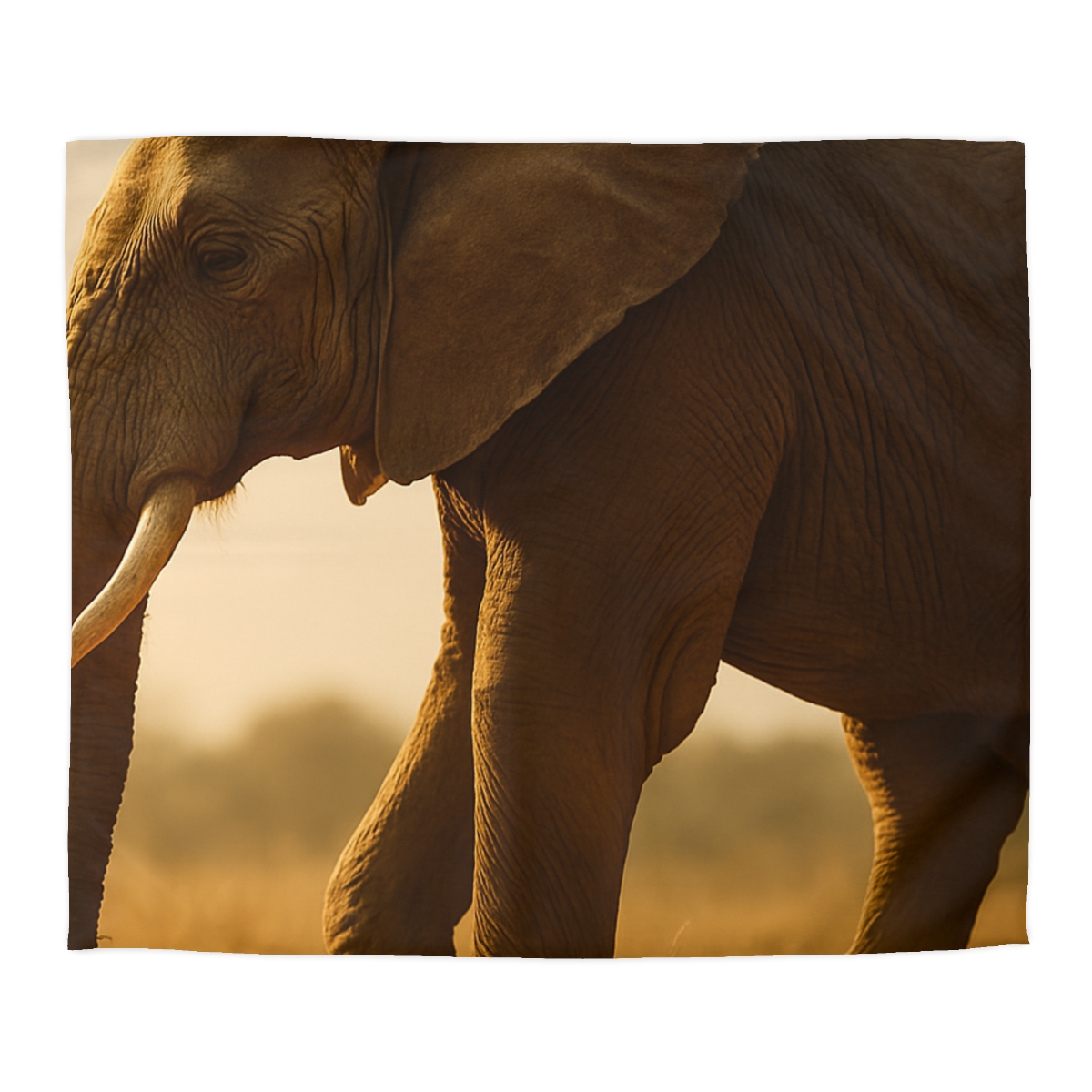 Savannah Sentinel Elephant unique patterned duvets