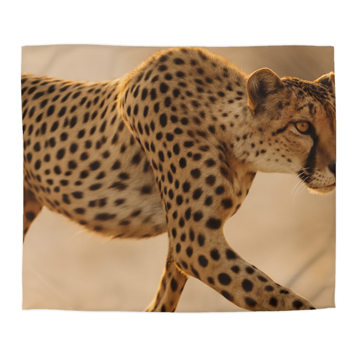 Wind Runner Cheetah unique patterned duvets