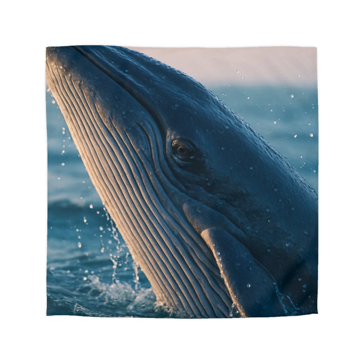 Ocean Song Blue Whale soft comforter duvets