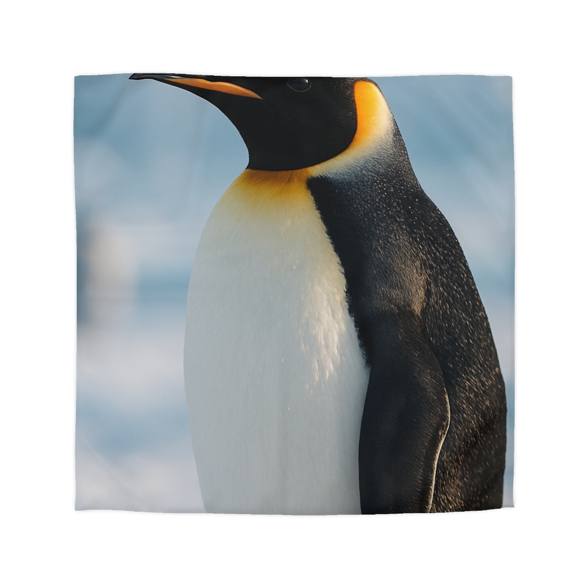 Emperor Penguin Polar Procession warm winter duvets