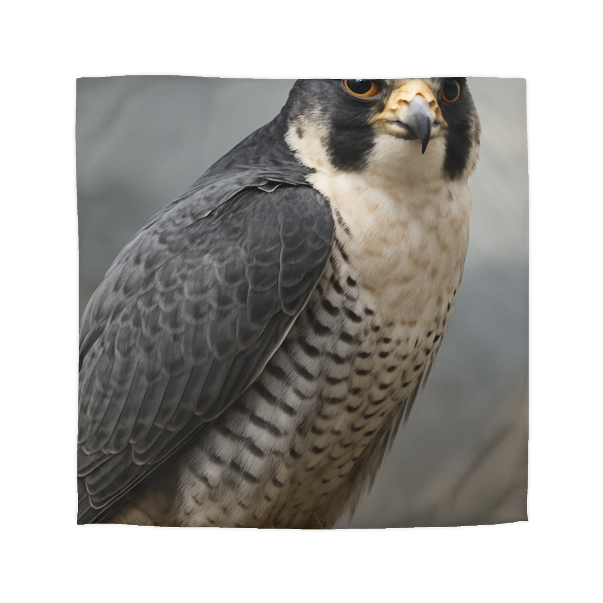 Starlit Focus Peregrine Falcon personalized bedding duvets