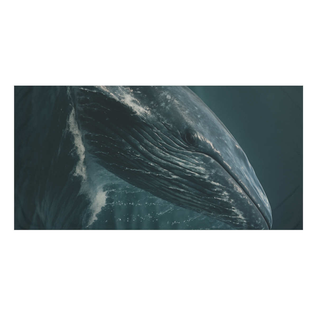 Ocean Song Blue Whale unique gift towels