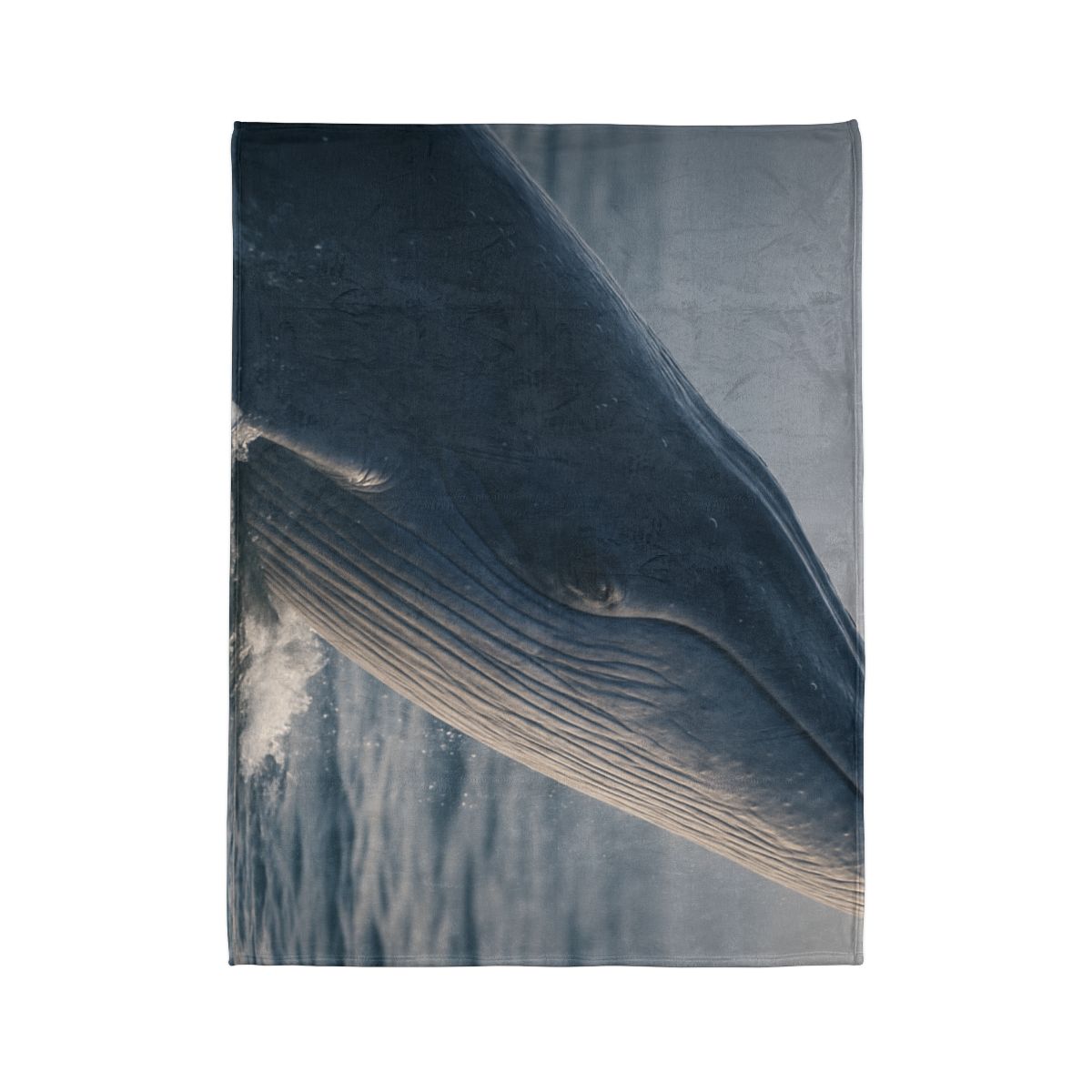 Ocean Song Blue Whale trendy patterned blankets