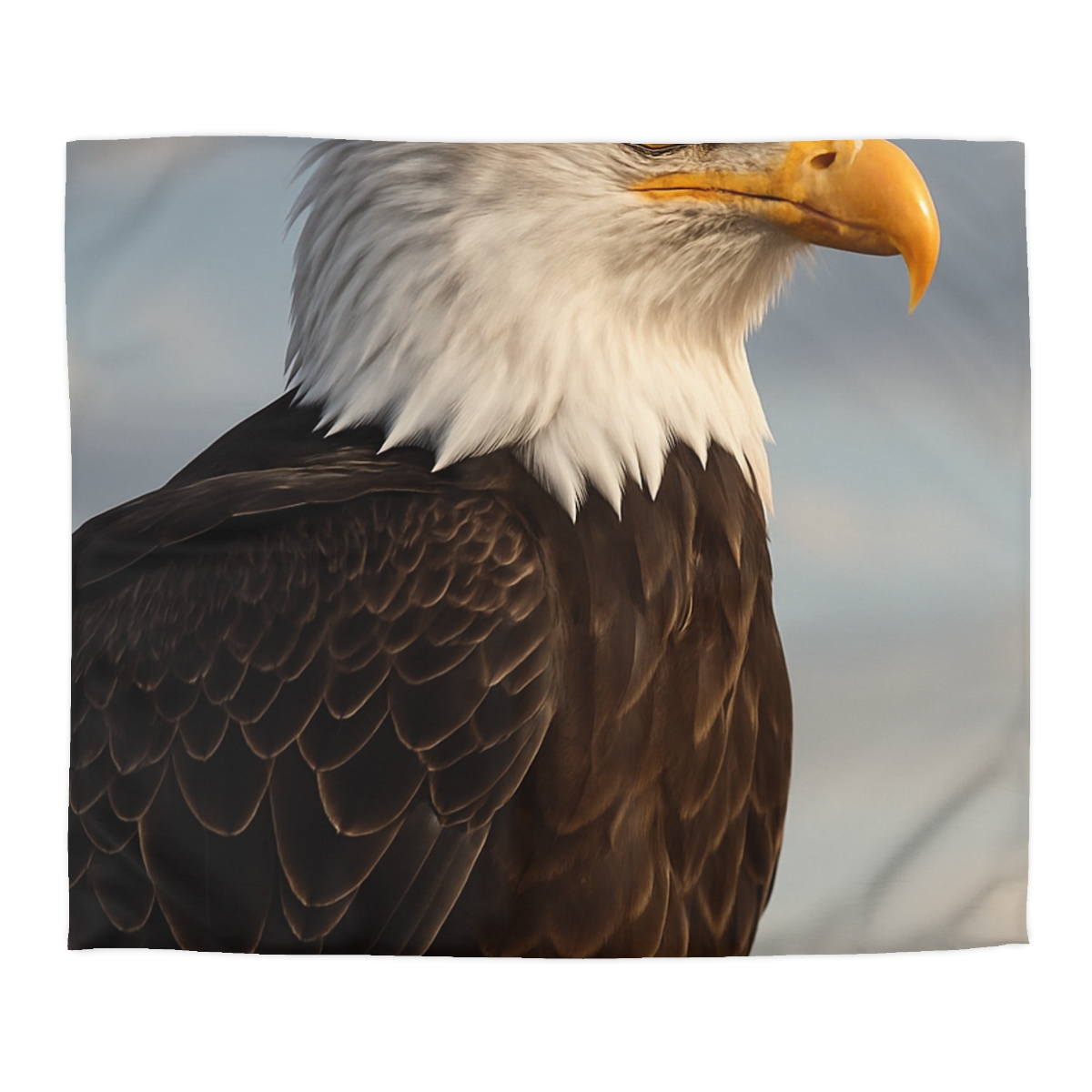 Sky Sovereign Bald Eagle custom duvets