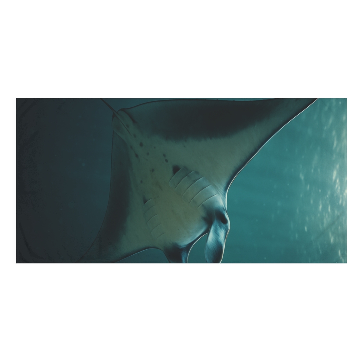 Starlit Drift Giant Manta Ray decorative home towels