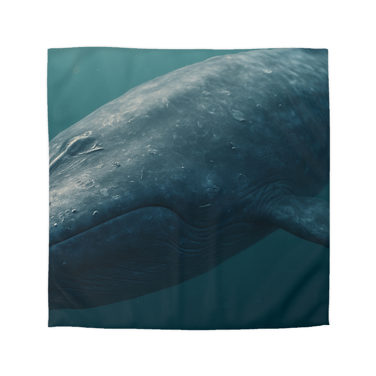 Ocean Song Blue Whale unique patterned duvets