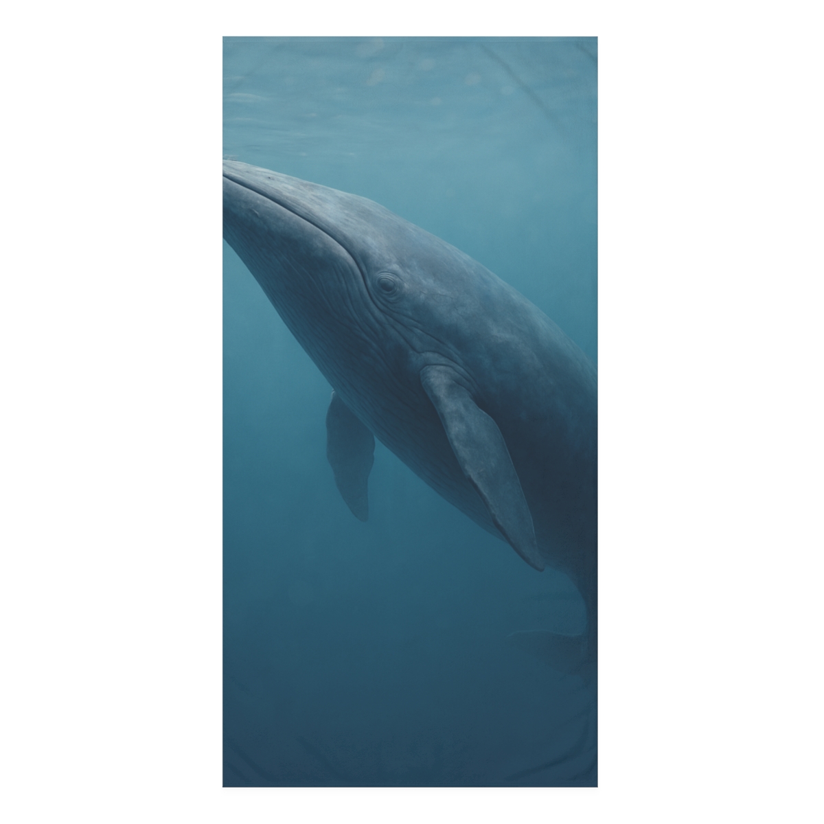 Abyssal Song Blue Whale comfortable face towels