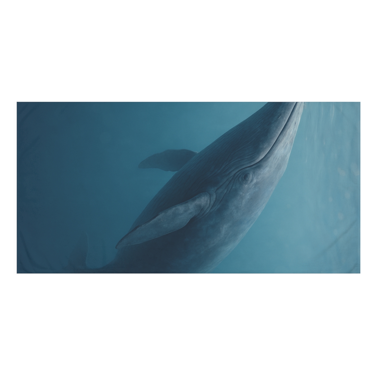 Abyssal Song Blue Whale comfortable face towels