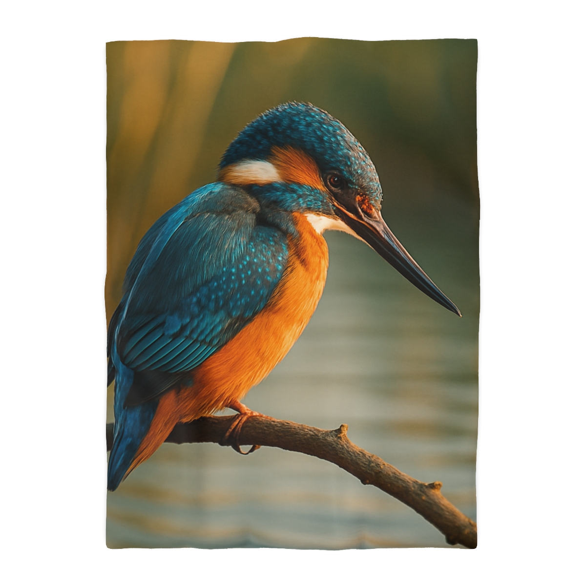 Aurora Splash Common Kingfisher warm winter duvets