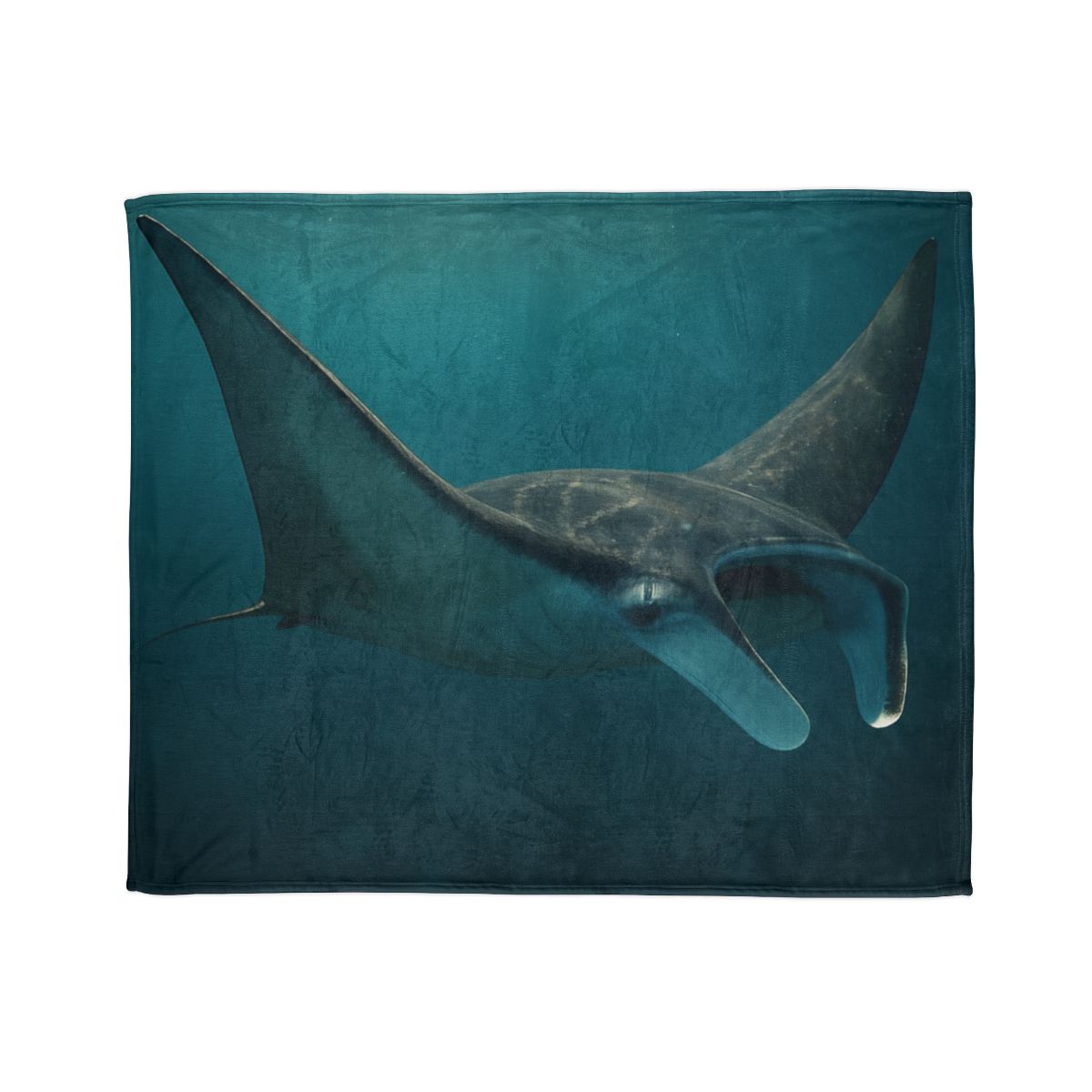 Starlit Drift Manta Ray warm winter blankets