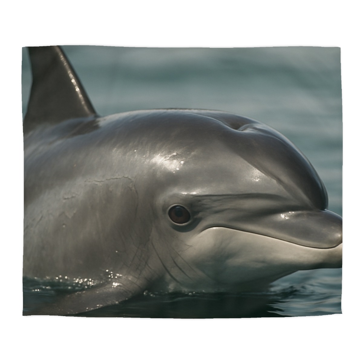 Mirror Calm Bottlenose Dolphin custom duvets