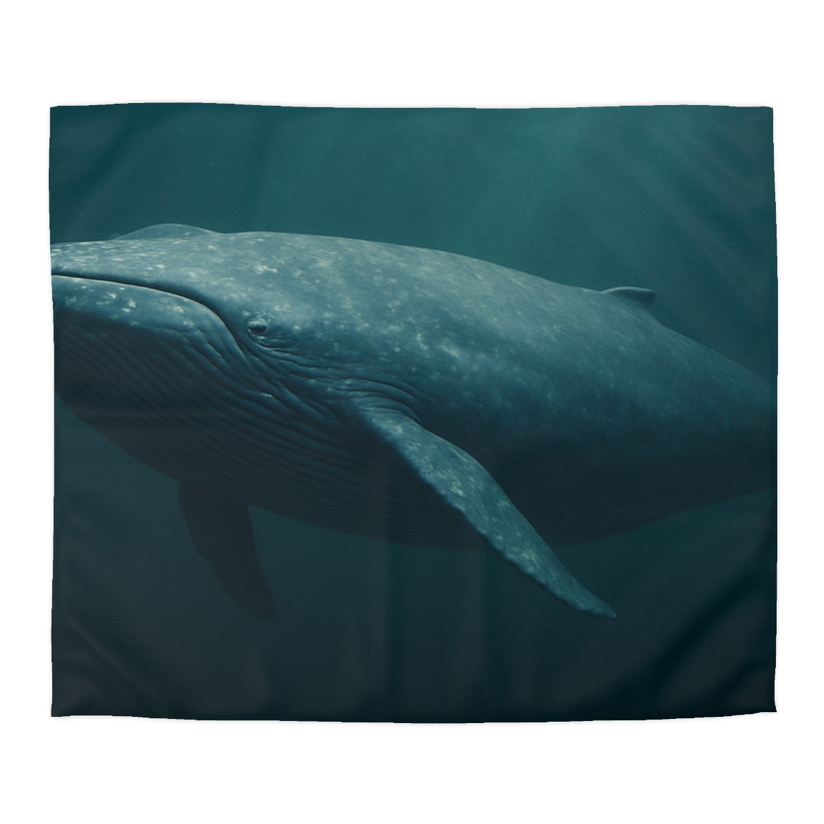 Ocean Song Blue Whale stylish duvet covers