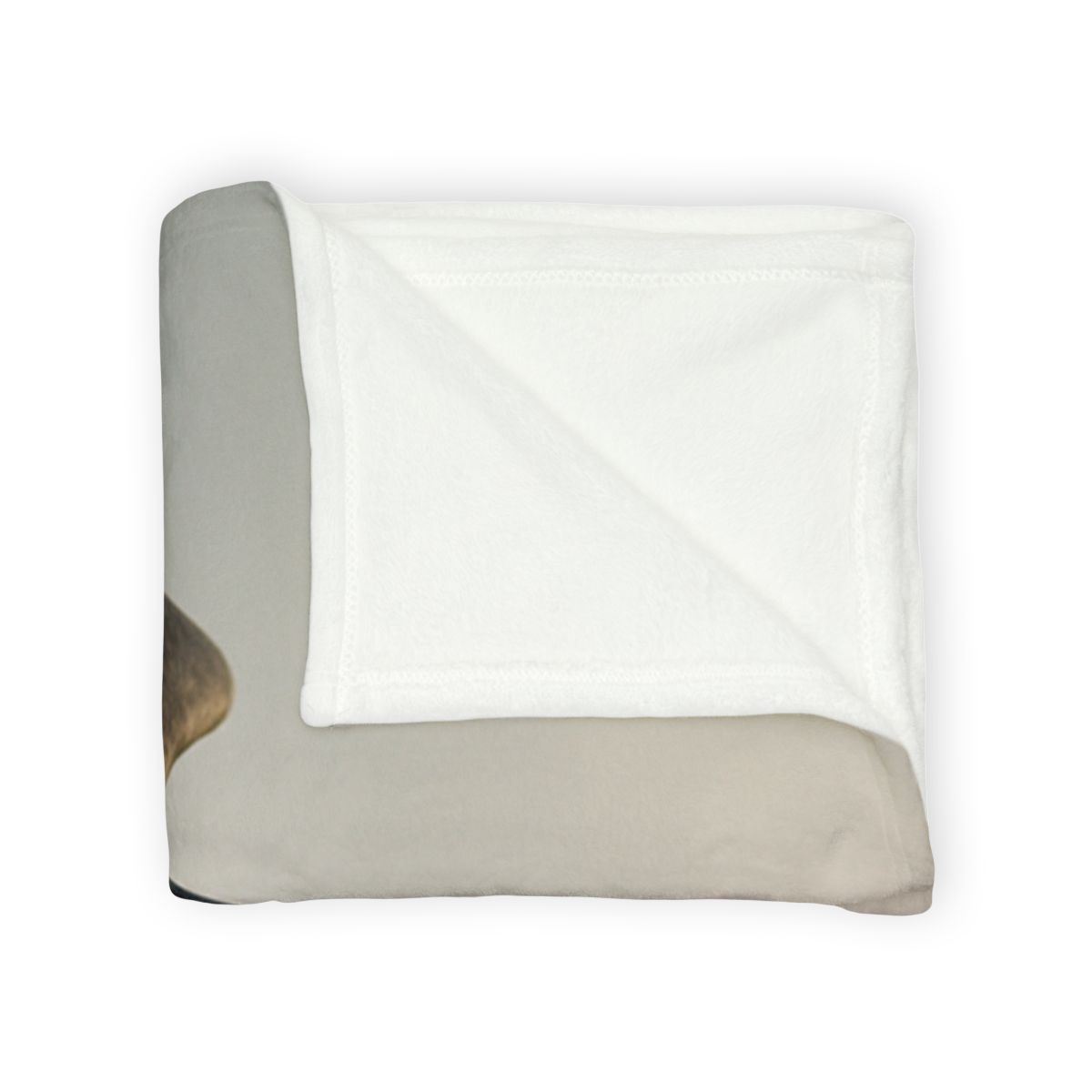 Comet Glide Peregrine Falcon warm winter blankets